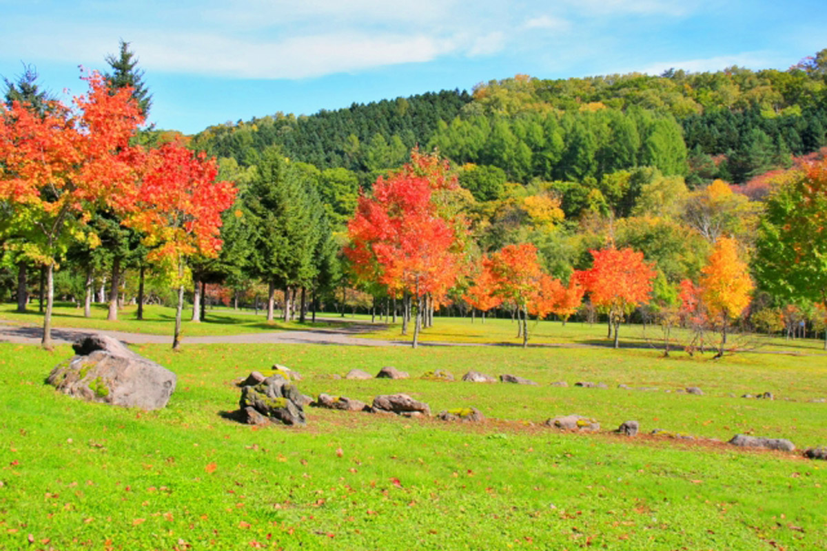 Furano Asahigaoka Park