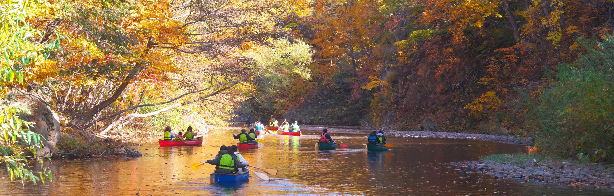 Activities around Autumn leaf spots
