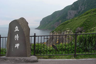 Cape Tachimachi