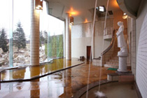 spa_iro3