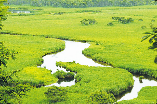 Kushiro-Shitsugen National Park