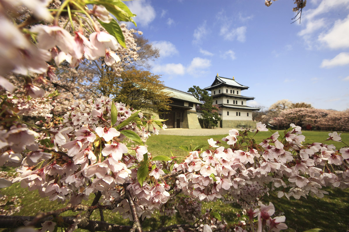 Cherry blossom viewing spots in Hokkaido