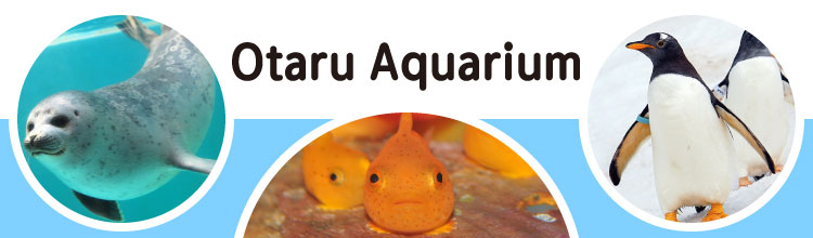 otaru_aquarium